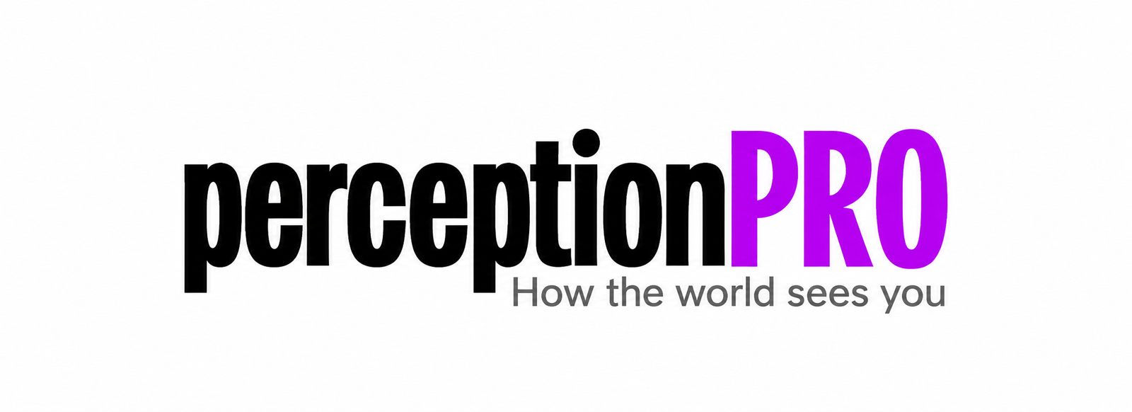 perceptionPRO Logo on White